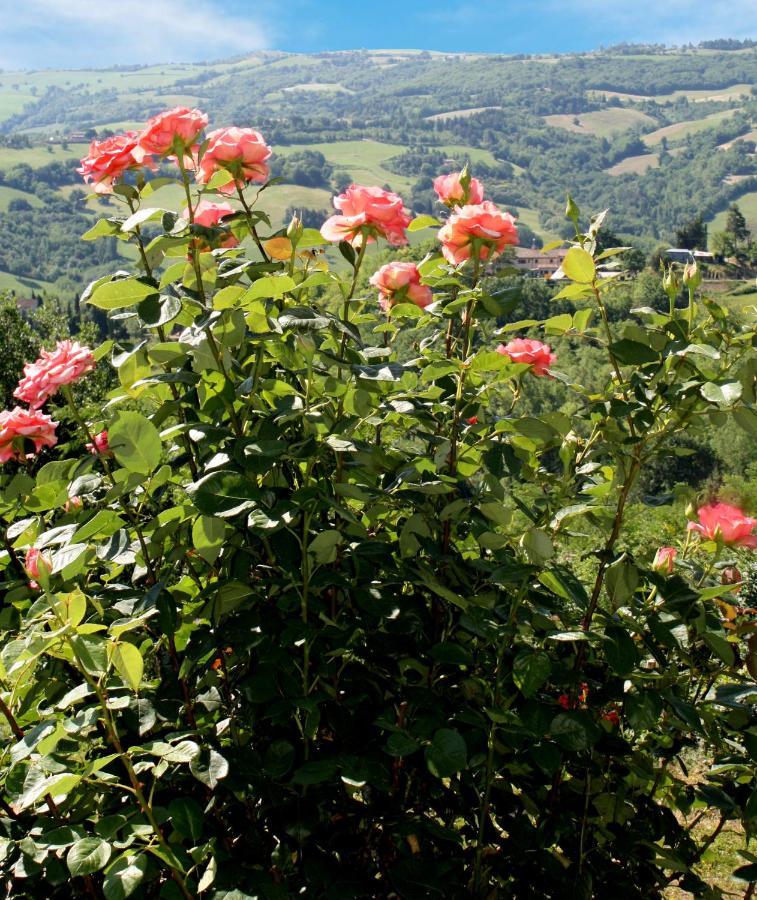בית הארחה אורבינו 	Country House Ca' Vernaccia מראה חיצוני תמונה